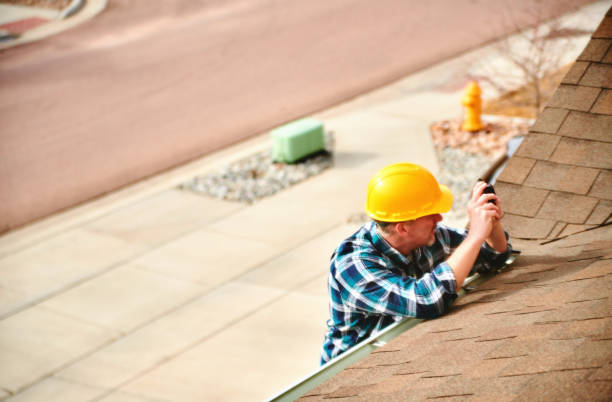 Best Roof Moss and Algae Removal  in Forreston, IL
