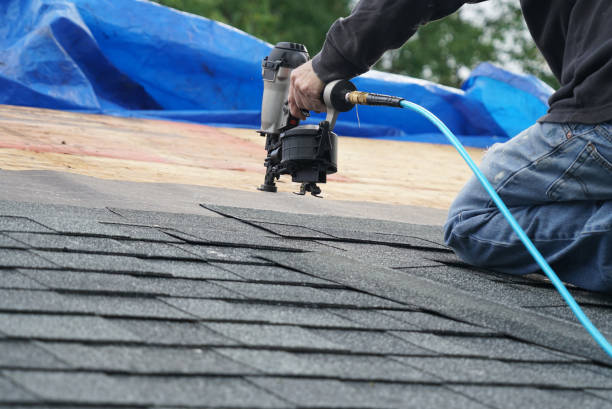 Best Roofing for New Construction  in Forreston, IL