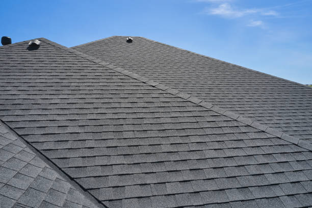 Best Gutter Installation and Repair  in Forreston, IL