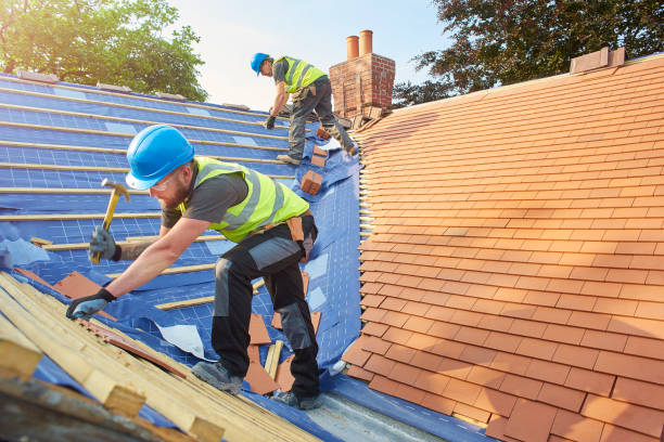Best Cold Roofs  in Forreston, IL