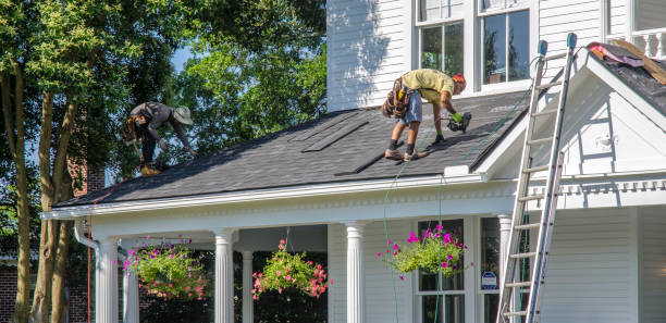 Best Asphalt Shingles Roofing  in Forreston, IL